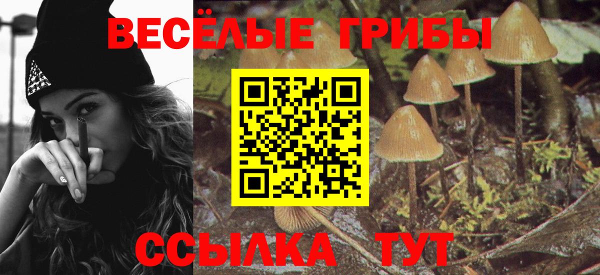Псилоцибиновые грибы Psilocybe  Псилоцибиновые грибы Psilocybine cubensis  Вход с VPN  Дубна 