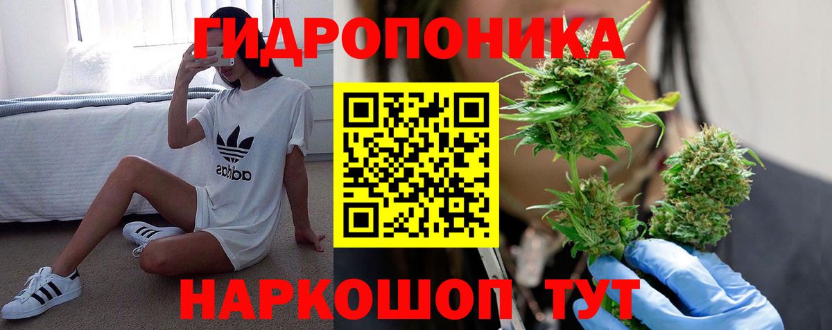 Канабис OG Kush  Канабис тримм  Вход с VPN  Бошки Шишки марихуана  Дубна  МАРИХУАНА планчик 